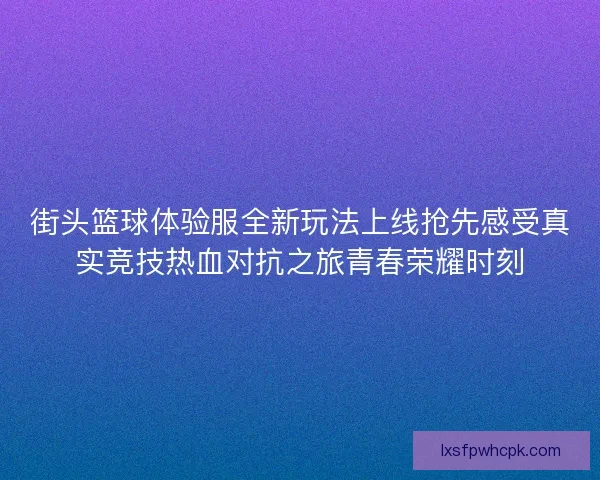 街头篮球体验服全新玩法上线抢先感受真实竞技热血对抗之旅青春荣耀时刻